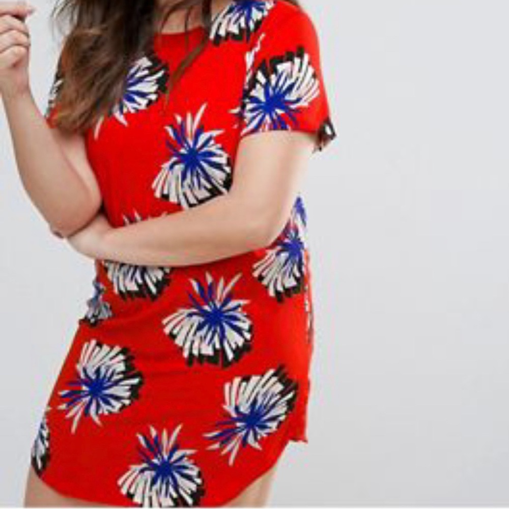 Alice and you Dress
